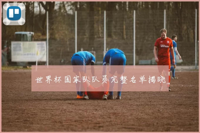世界杯国家队队员完整名单揭晓