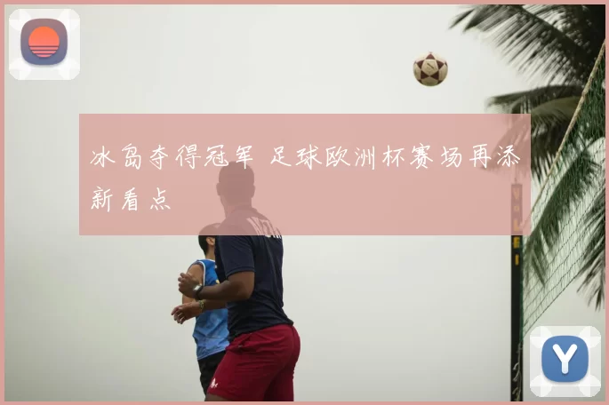 冰岛夺得冠军 足球欧洲杯赛场再添新看点