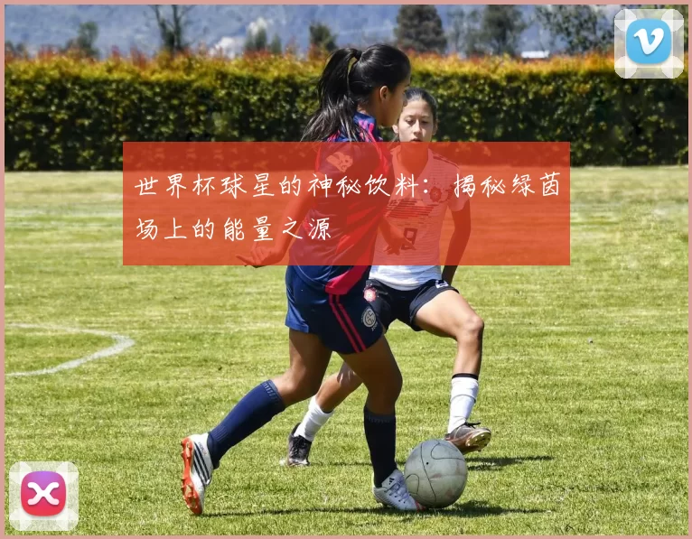 世界杯球星的神秘饮料:揭秘绿茵场上的能量之源