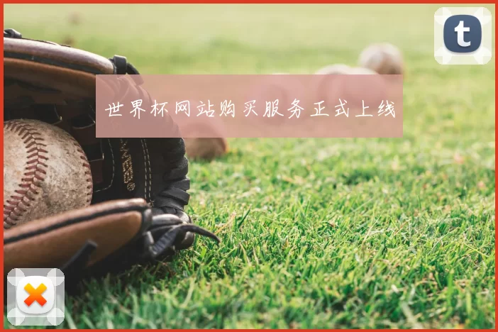 世界杯网站购买服务正式上线