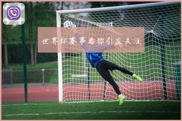 世界杯赛事名称引发关注