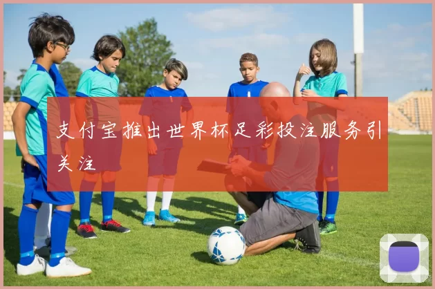 支付宝推出世界杯足彩投注服务引关注