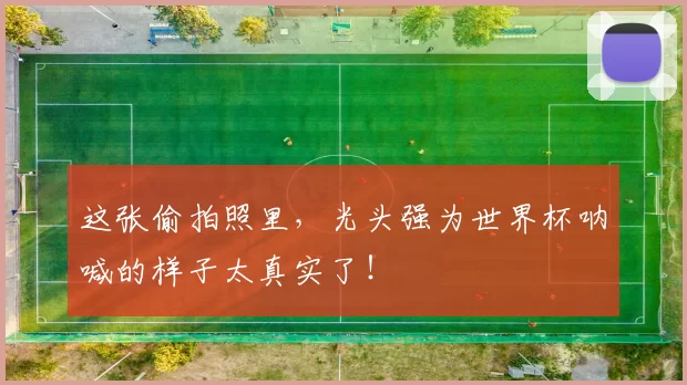 这张偷拍照里，光头强为世界杯呐喊的样子太真实了！