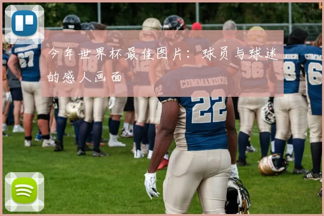 今年世界杯最佳图片：球员与球迷的感人画面