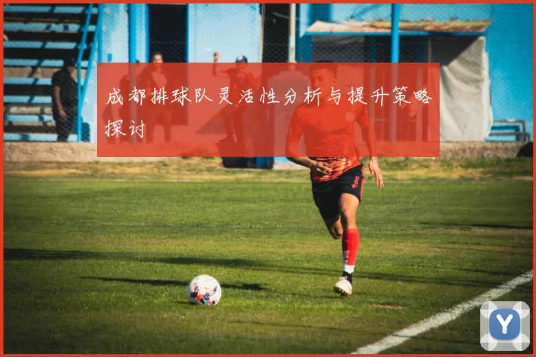 成都排球队灵活性分析与提升策略探讨