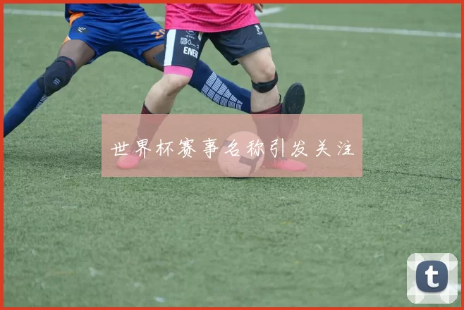 世界杯赛事名称引发关注