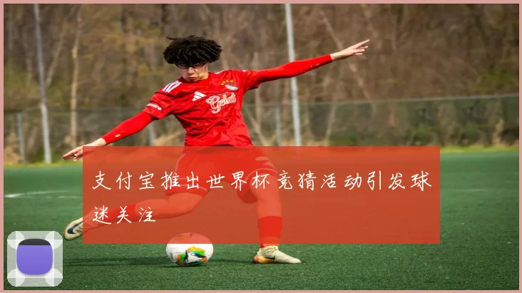 支付宝推出世界杯竞猜活动引发球迷关注