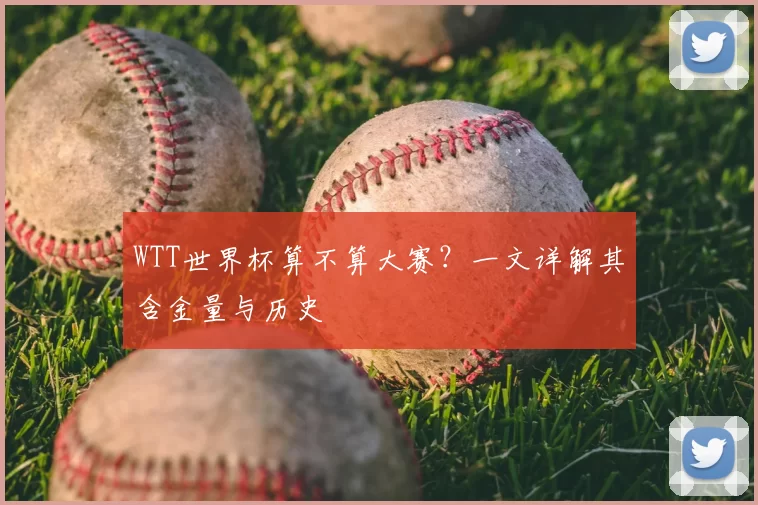 WTT世界杯算不算大赛?一文详解其含金量与历史