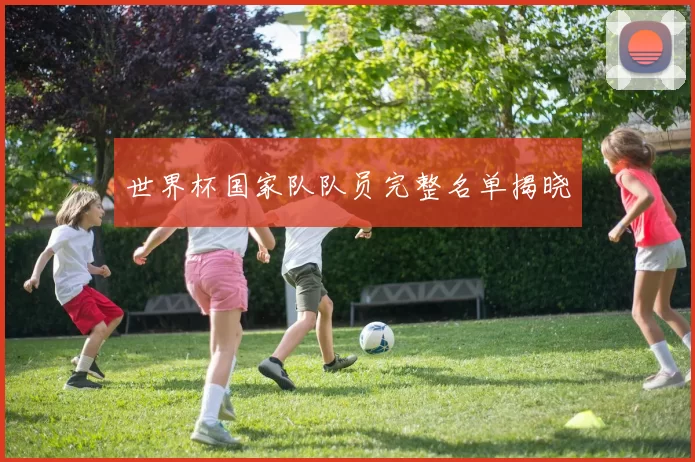 世界杯国家队队员完整名单揭晓